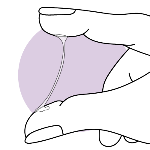 Grafische Darstellung von Eiweiß-ähnlichem Zervixschleim vor dem Eisprung.